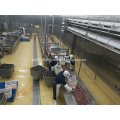 poultry processing line of belt conveyor